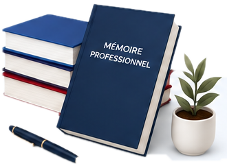 Mémoire professionnel, pile de livres, stylo et plante